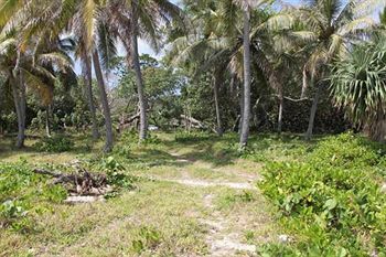 Alofa Beach Bungalows Lénakel Esterno foto